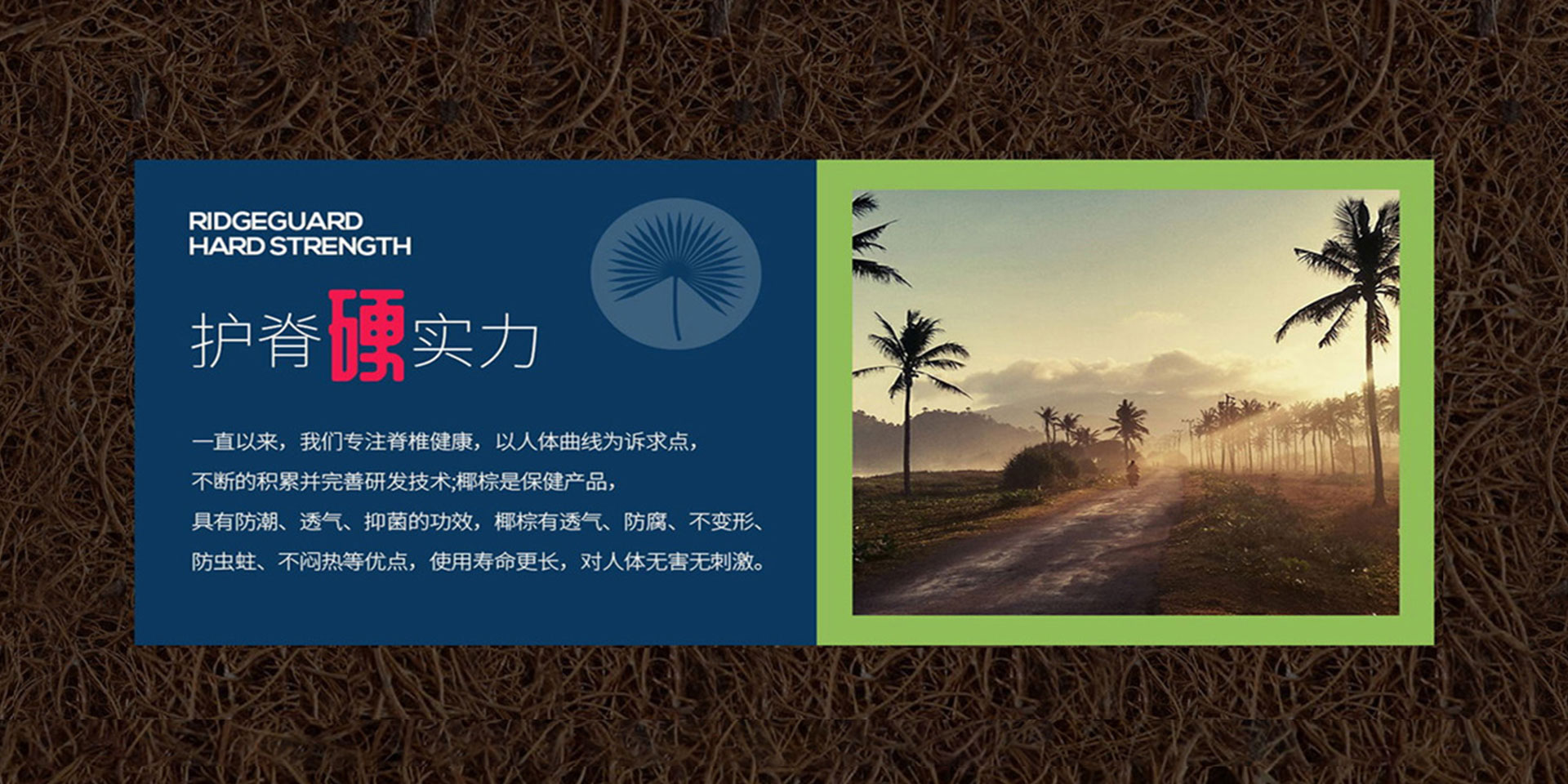 香蕉成人视频