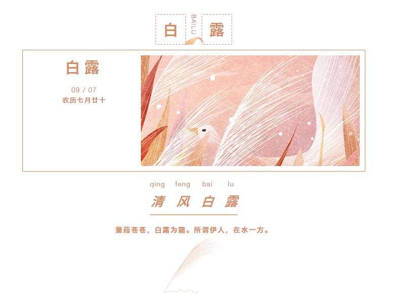 香蕉成人视频